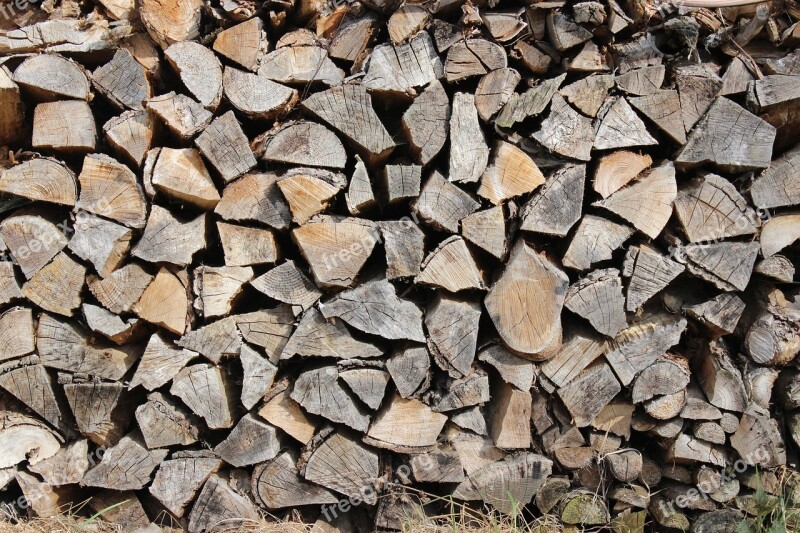 Wood Log Firewood Growing Stock Heat