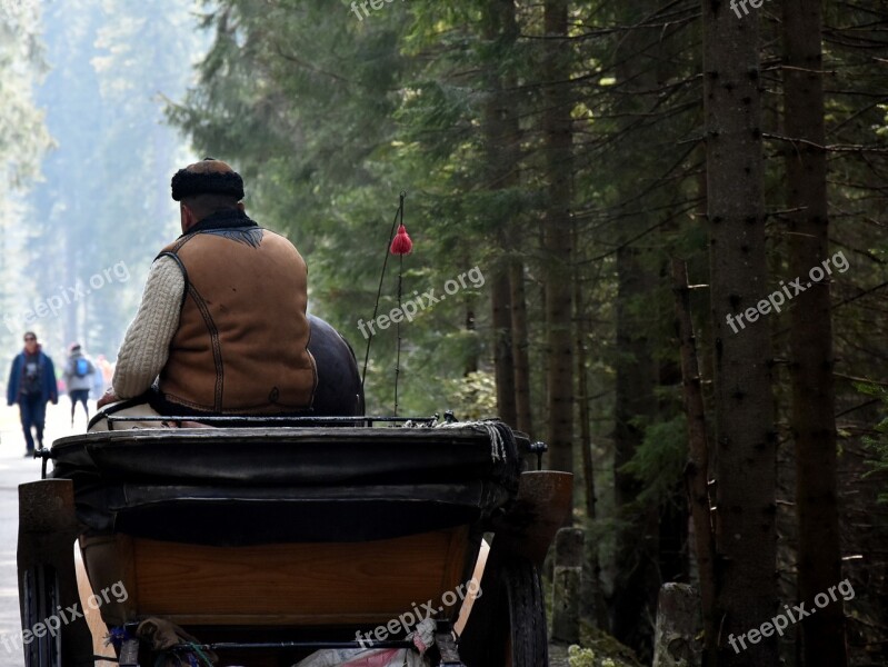 Mountaineer Chochołowska Valley Chaise To Carry Forest