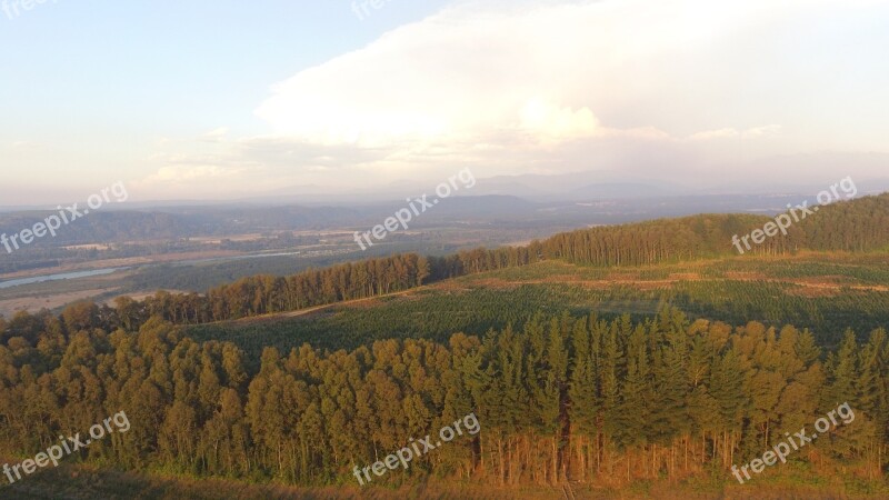 Chile Forest South Mountains Unesco