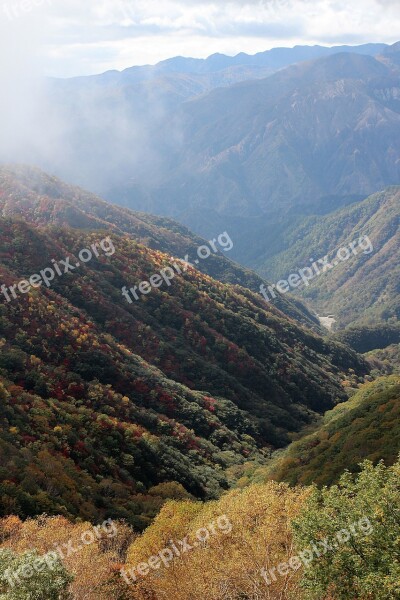 Japan Nature Landscape Flowers Seasonal