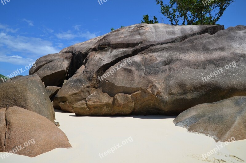 Seychelles Dolphin Rock Dolphin Island Beach