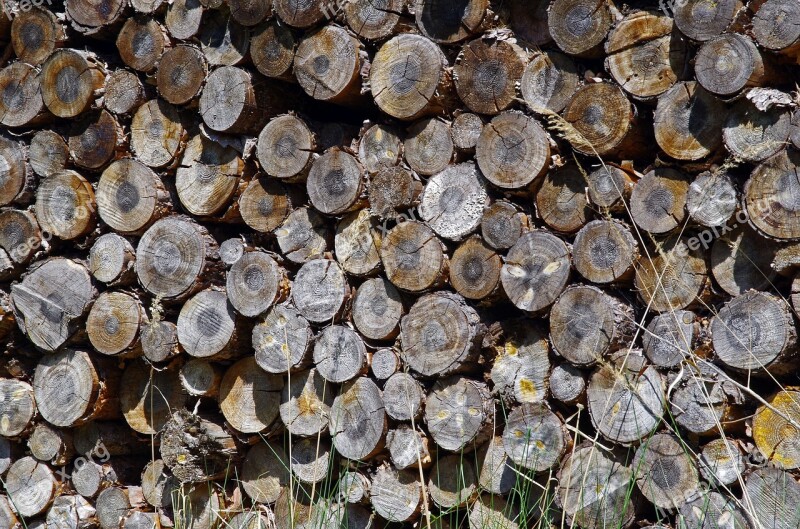 Wood Holzstapel Firewood Storage Stacked Up