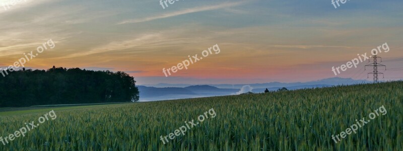 Landscape Switzerland Mutschellen Aargau Wheat Field