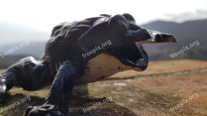 Statue Frog Sculpture Figure Decoration