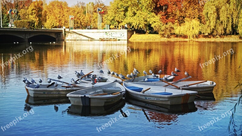 Landscape Nature Trees Autumn Colors