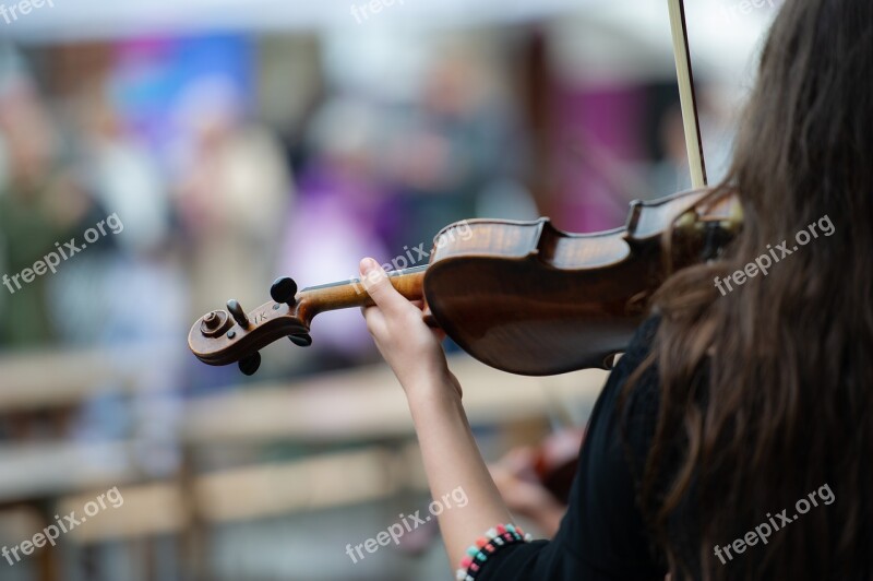 Fiddle Music Musician Play Artist