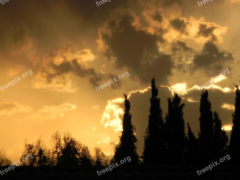 Sunset Trees Dusk Clouds Sky