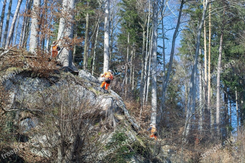 Rock Removal Work Workers Out Nature Landscape Management