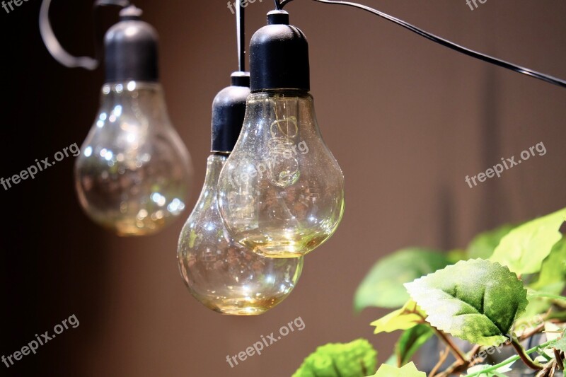 Light Bulbs Green Interior Ideas Grasses