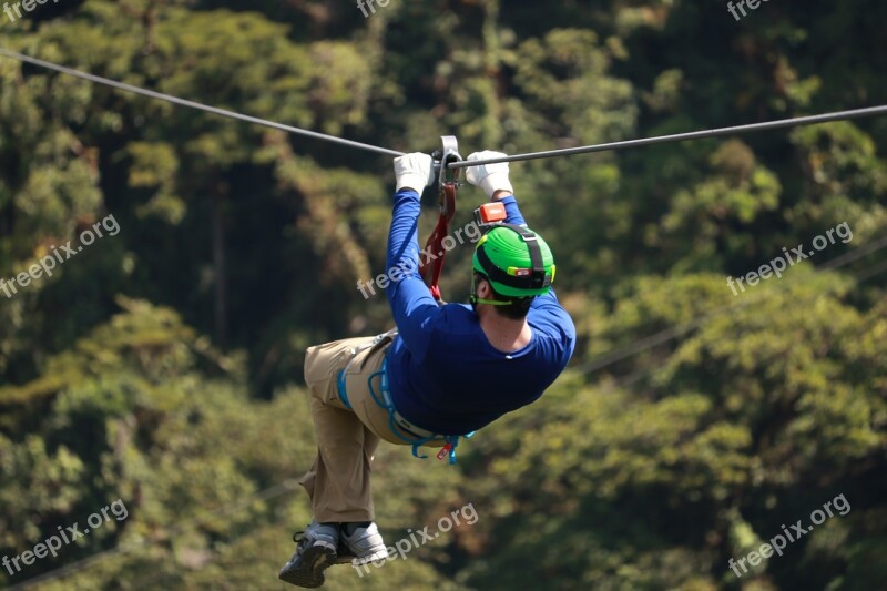 Zipline Ziplining Trees Sport Adventure