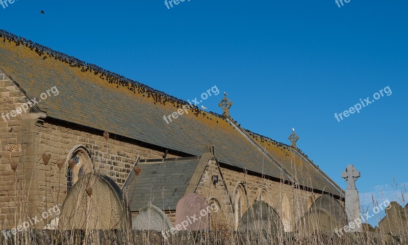 Stare Star Swarm Bird Migration Autumn Church