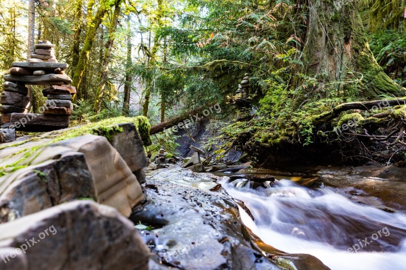 River Creek Water Nature Landscape