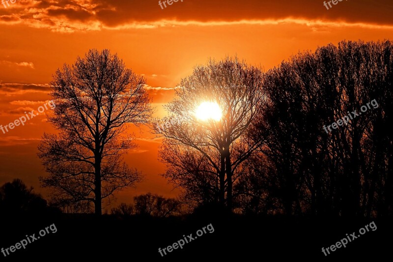 Sunset Sky Trees Silhouette Landscape Evening