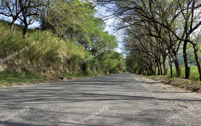 Road Landscape Path Travel Asphalt