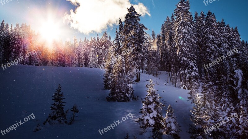 Sun Snow Landscape Winter Snowy