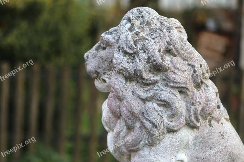 Lion Stone Animal Stone Animals Close Up