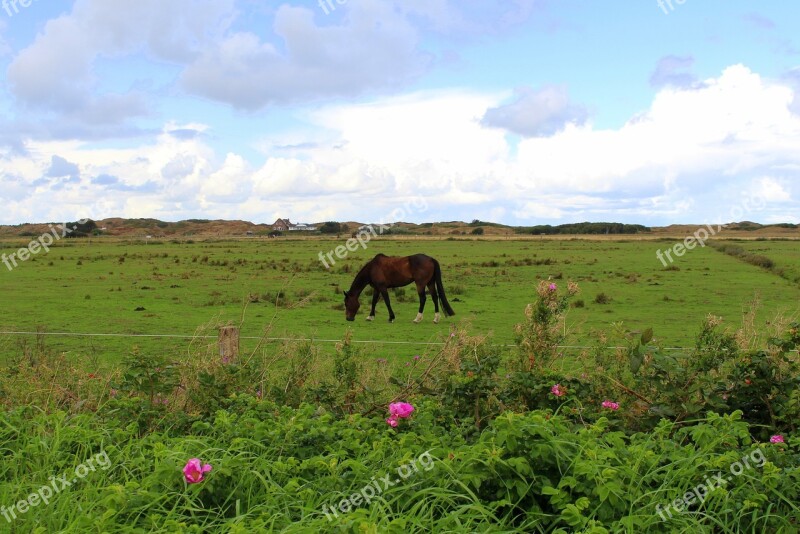 Langeoog Island East Frisia Coast North Sea