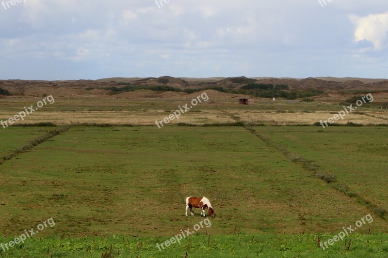 Langeoog Island East Frisia Coast North Sea