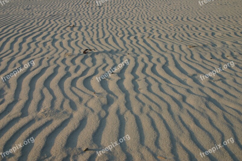 Beach Sand Sea The Coast Free Photos