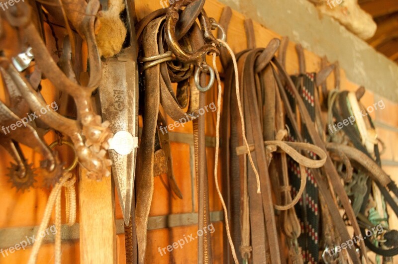 Harnesses Cell Ropes Leather Horse