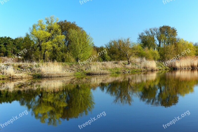 Bank River Landscape Shore Bepflanzung Landscape Trees