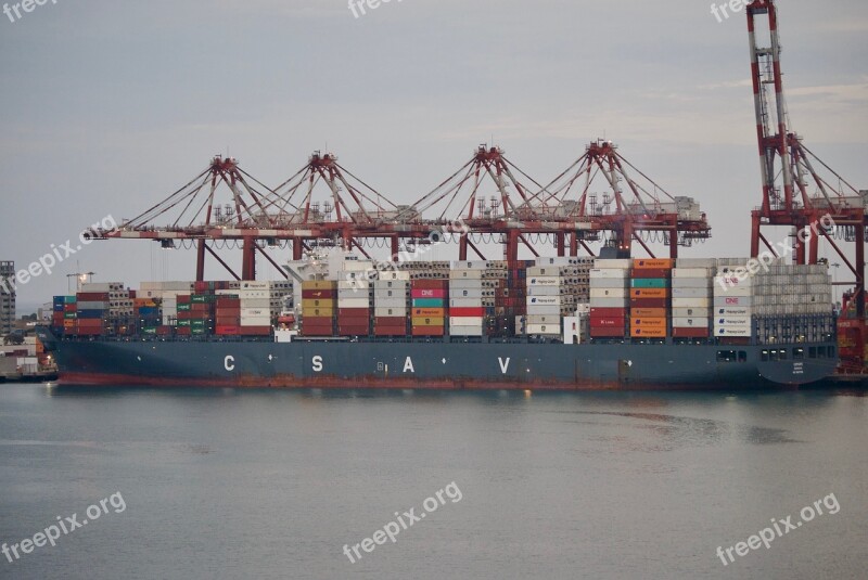 Cargo Ship Port Freight Export