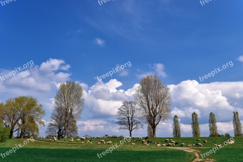 Landscape Auen Nature Mood Sky