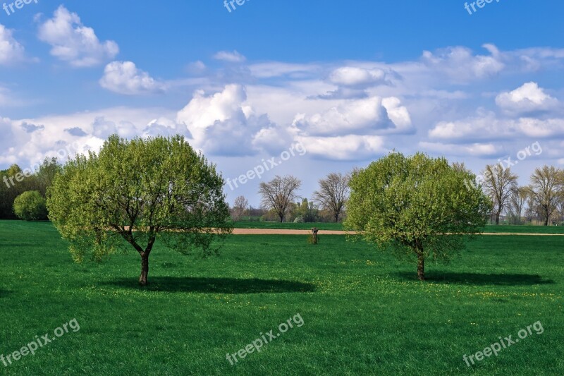 Landscape Auen Nature Mood Sky