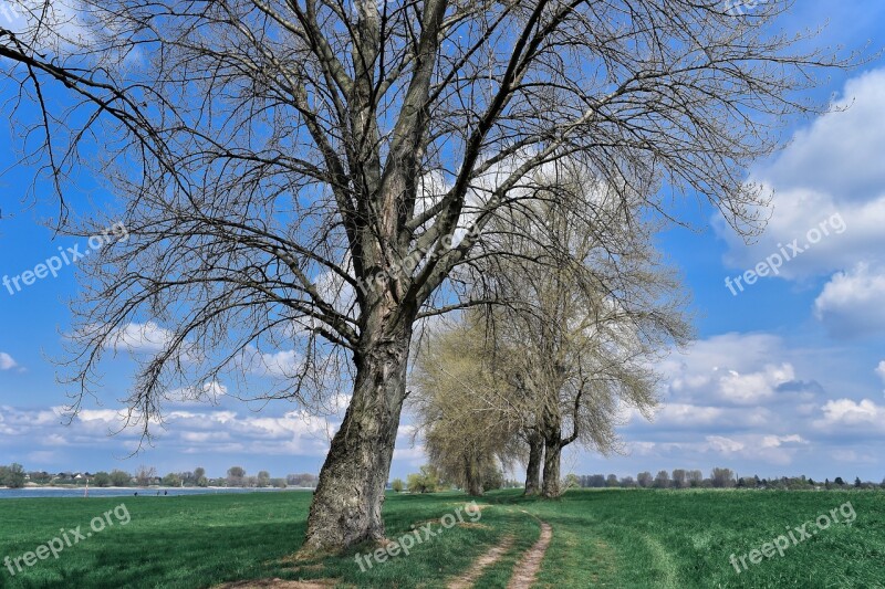 Landscape Auen Nature Mood Sky