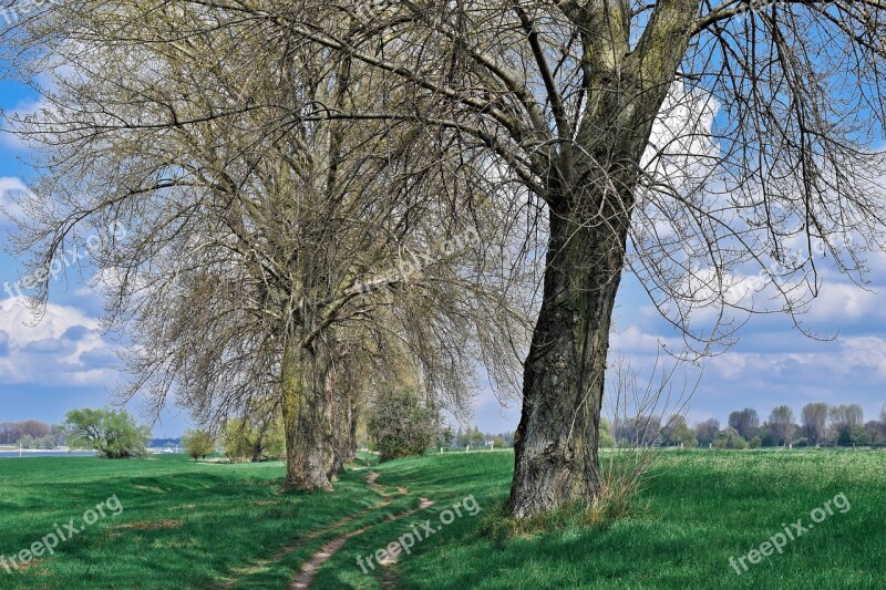 Landscape Auen Nature Mood Sky