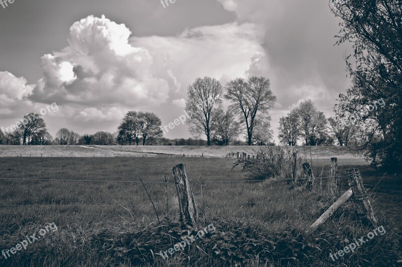 Landscape Auen Nature Mood Sky