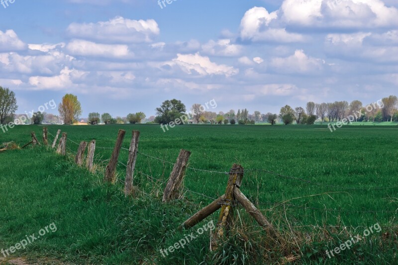 Landscape Auen Nature Mood Sky