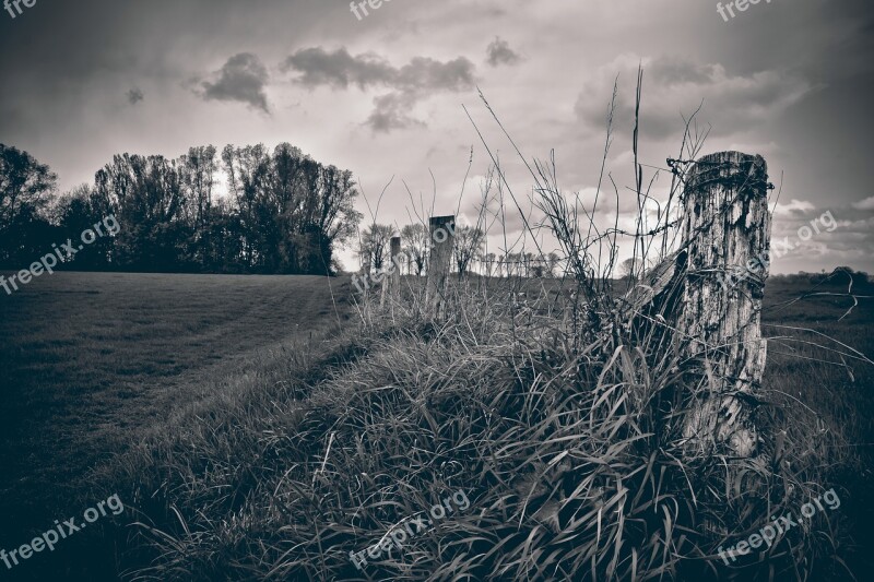 Landscape Fence Field Nature Rural