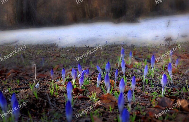 Mountain Nature Landscape Spring Mountains