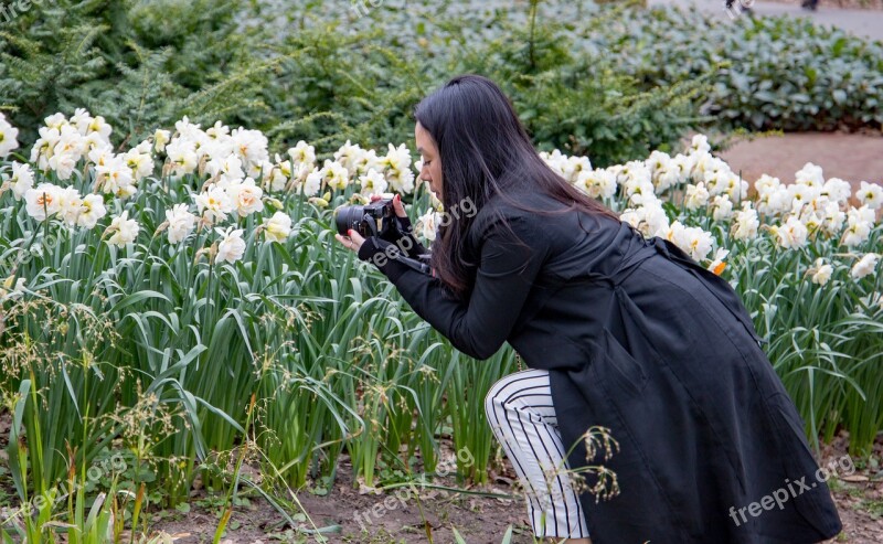 Keukenhof Lisse Holland Garden Flowers