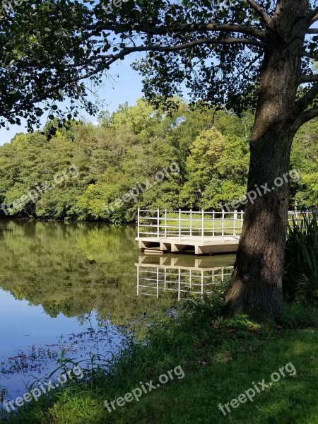 Water Pond Nature Bloom Trees