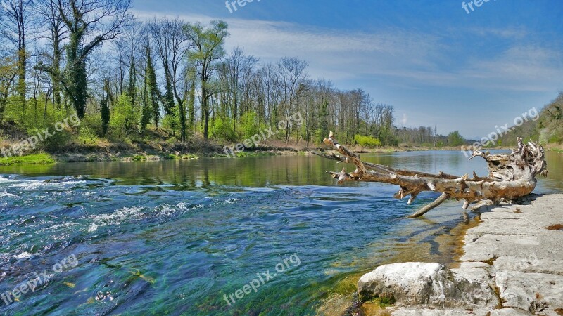 Landscape Switzerland River Aare Dead Wood