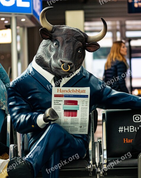 Bull Newspaper Art Airport Suit Free Photos