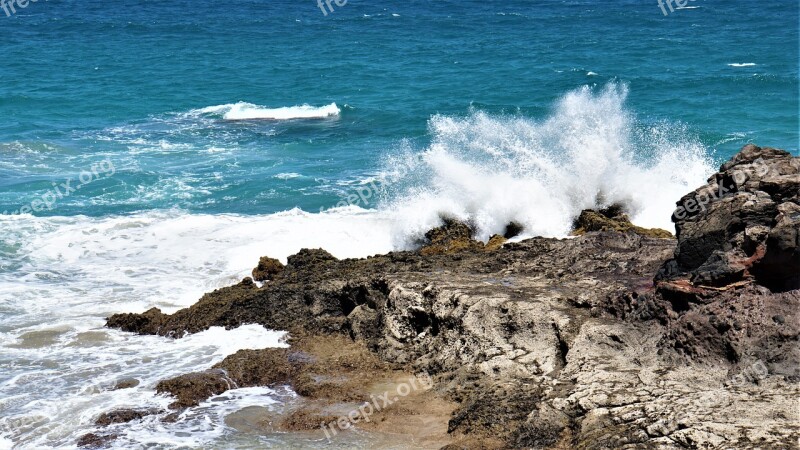 Coast Sea Ocean Wave Surf