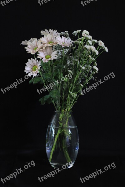 Flowers Vase Bouquet Still Life Romantic