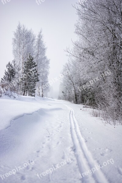 Winter Snow Landscape Cold Nature