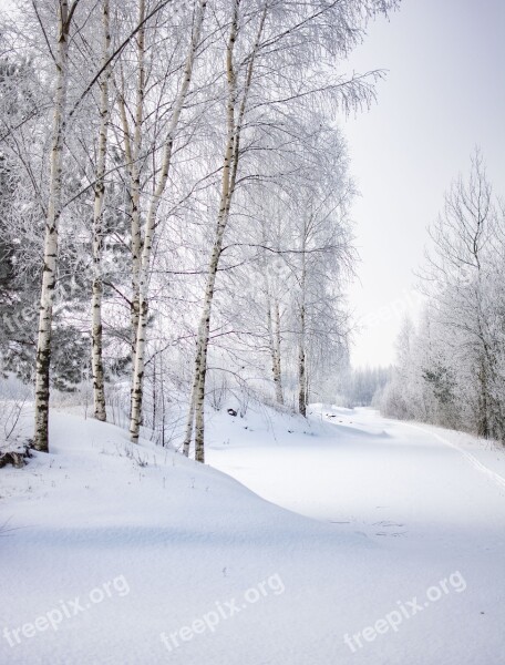 Winter Snow Landscape Cold Nature