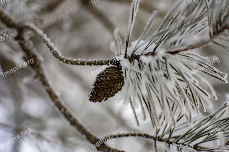 Winter Snow Landscape Cold Nature