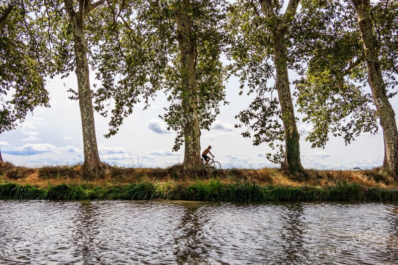 Cyclists Canal Du Midi South Of France Plane Trees On The Roadside Backlighting