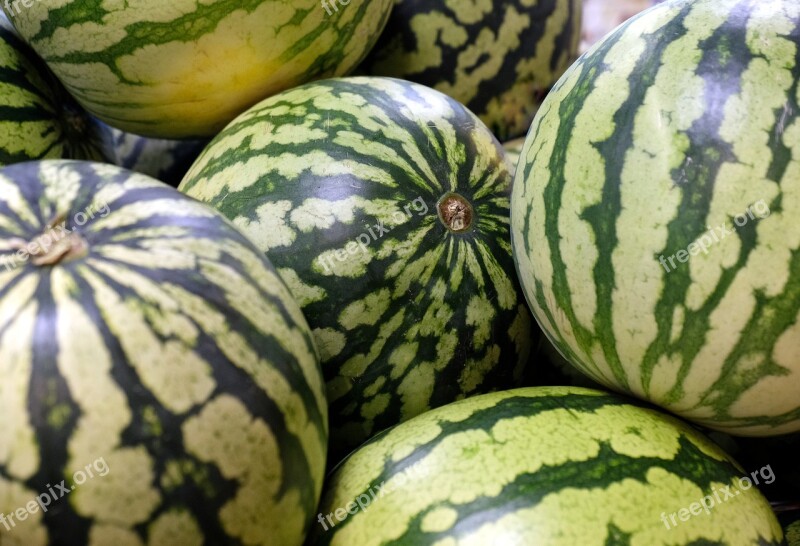 Water Melons Melon Fruit Summer Healthy