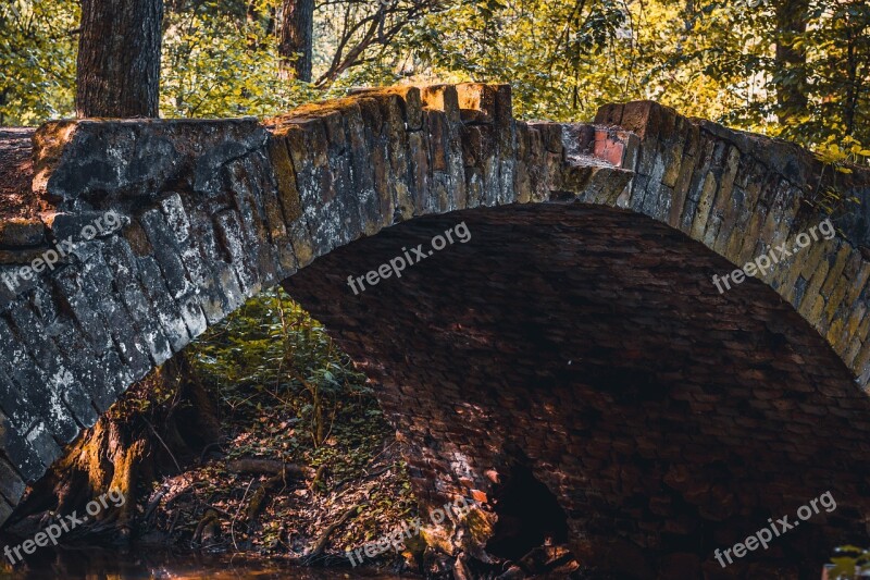 Bridge Bridges River Tree Trees