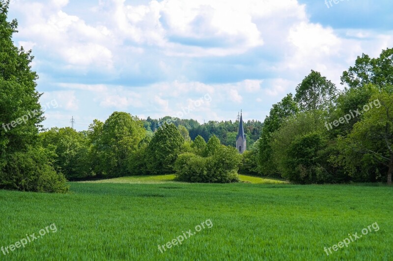 Field Cereals Immature Trees Shrubs