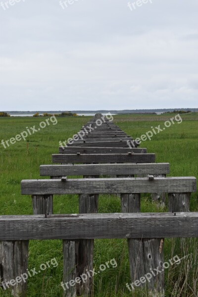 Wood Rows Grass Wallpaper Background