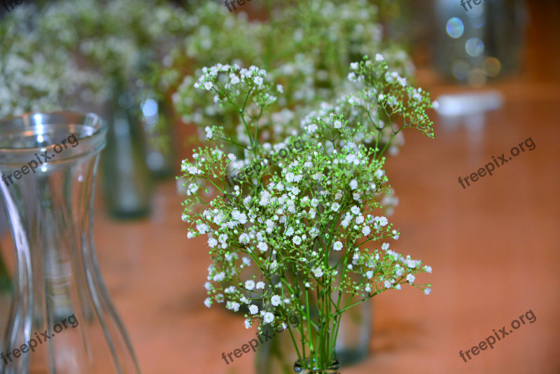 Wedding Decoration Flowers Gypsophila Festival