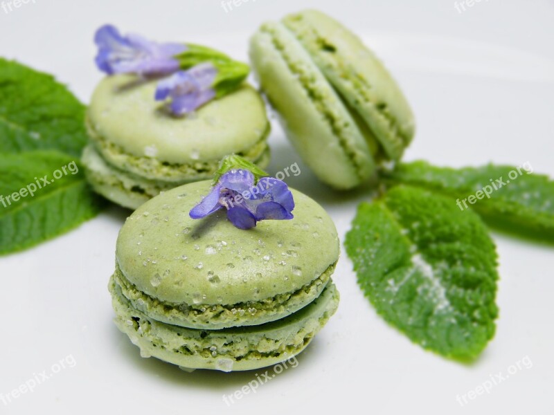 Macarons Green Sage Sugar Sage Flower